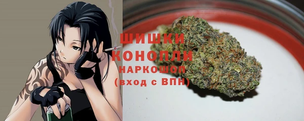 спайс Арсеньев