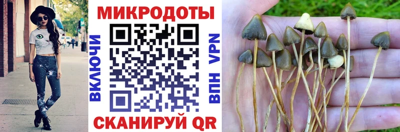 Псилоцибиновые грибы Magic Shrooms  Боготол 